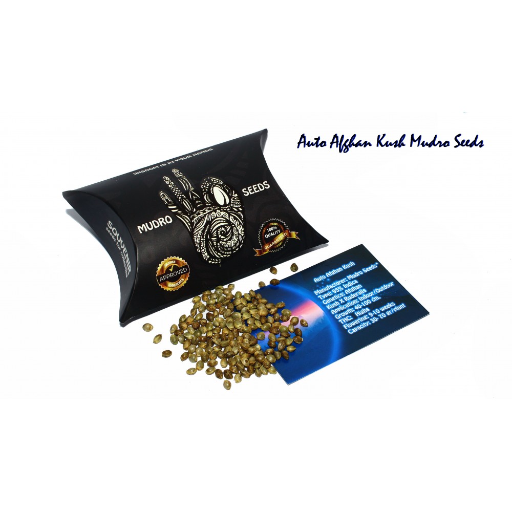 Auto Afghan Kush Regular