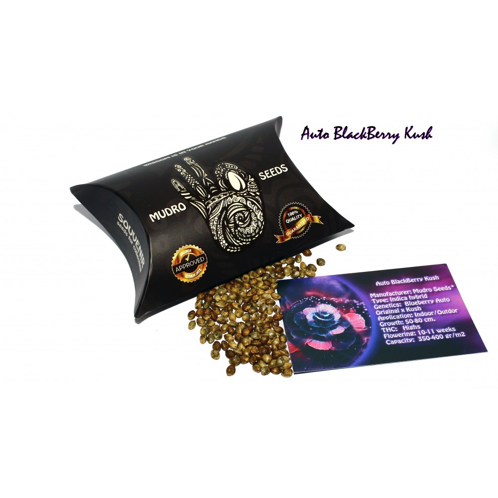 Auto BlackBerry Kush