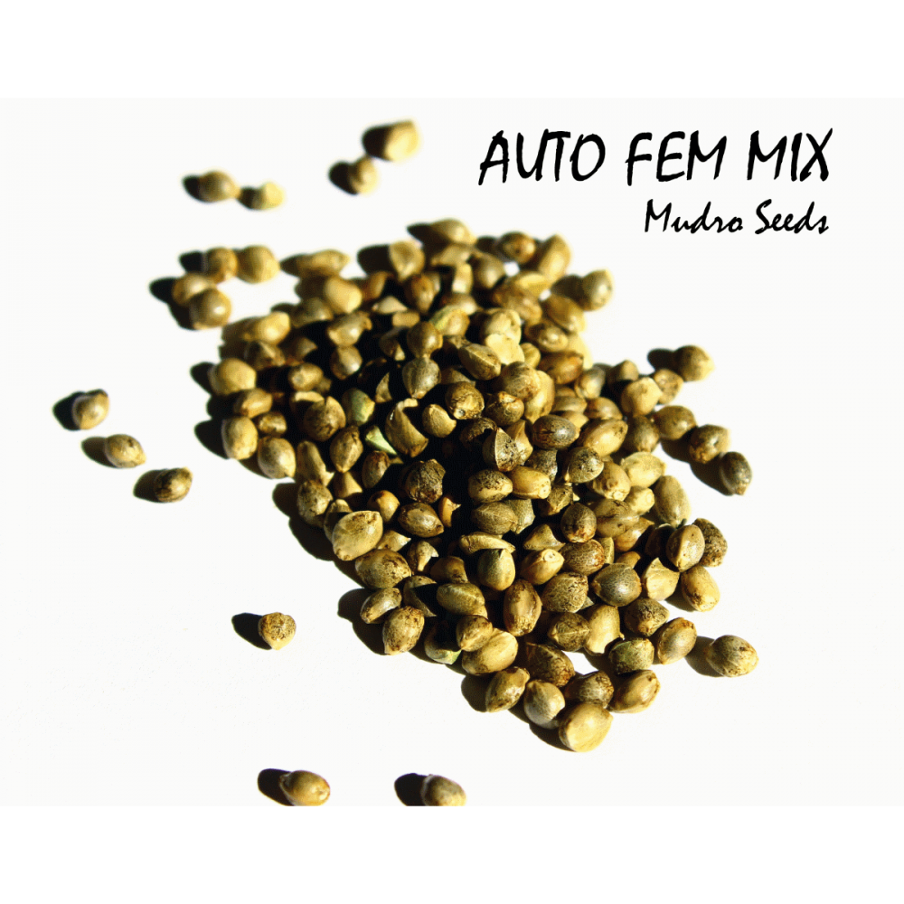 Auto fem mix