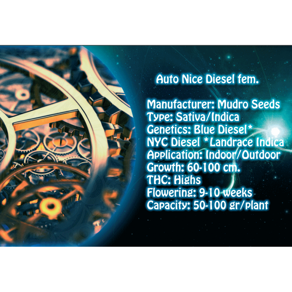 Auto Nice Diesel fem