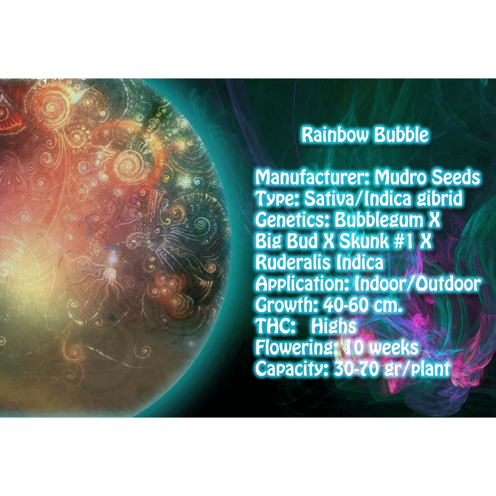 Auto Rainbow Bubble fem