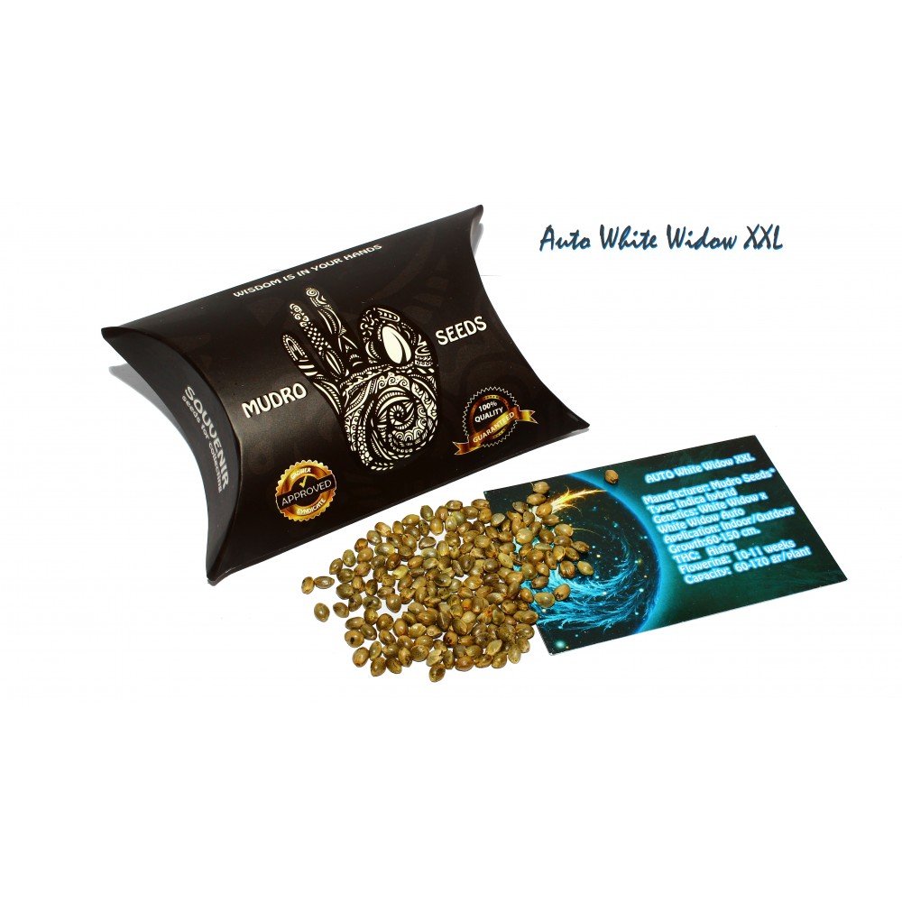AUTO White Widow ХХL Regular