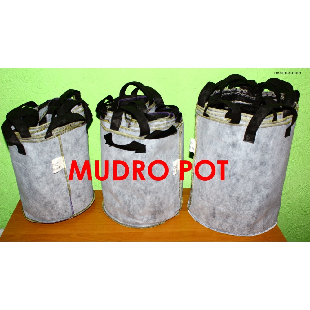 MUDRO POT10