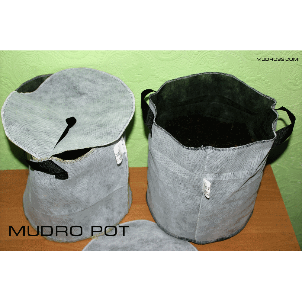 MUDRO POT10