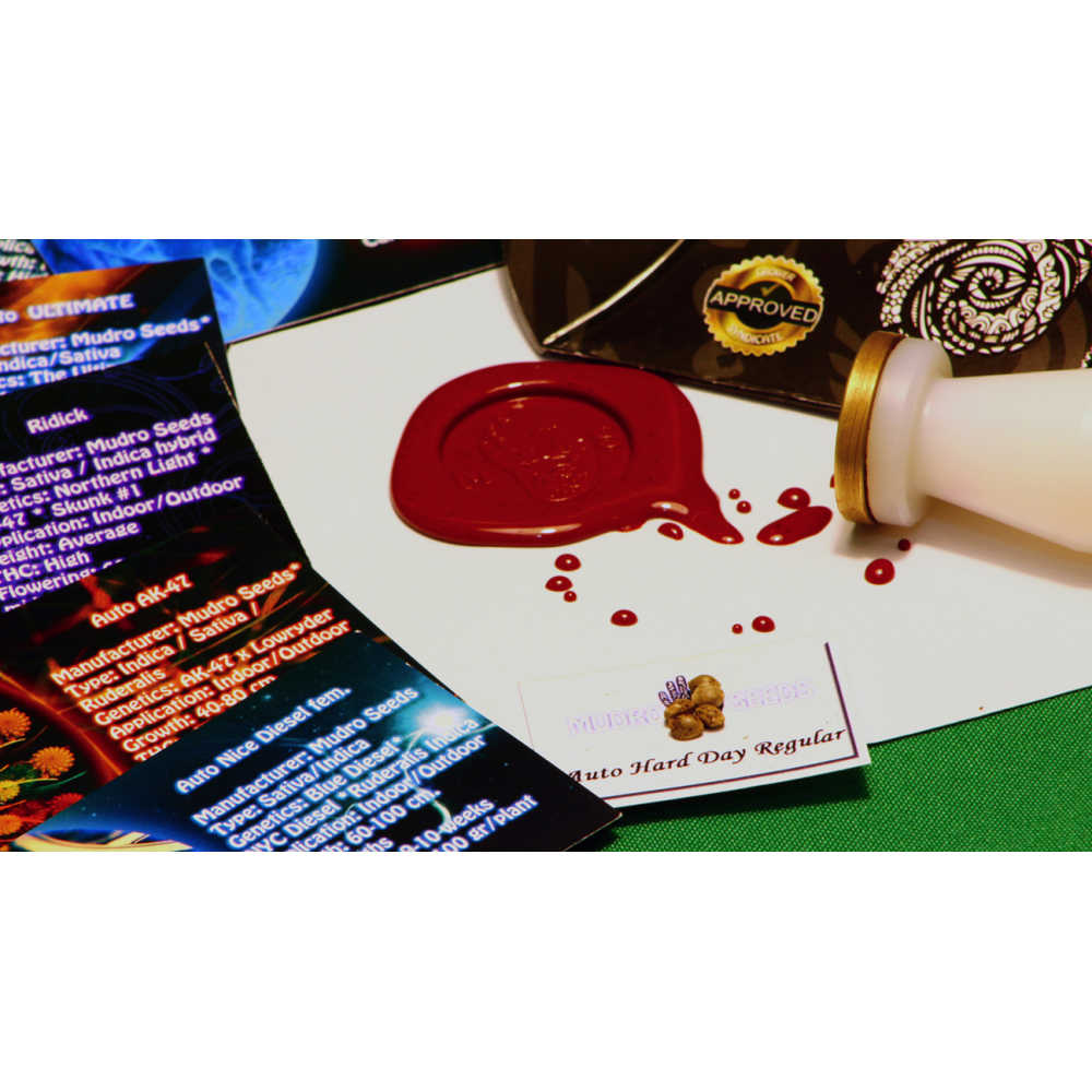 Мудро Набор